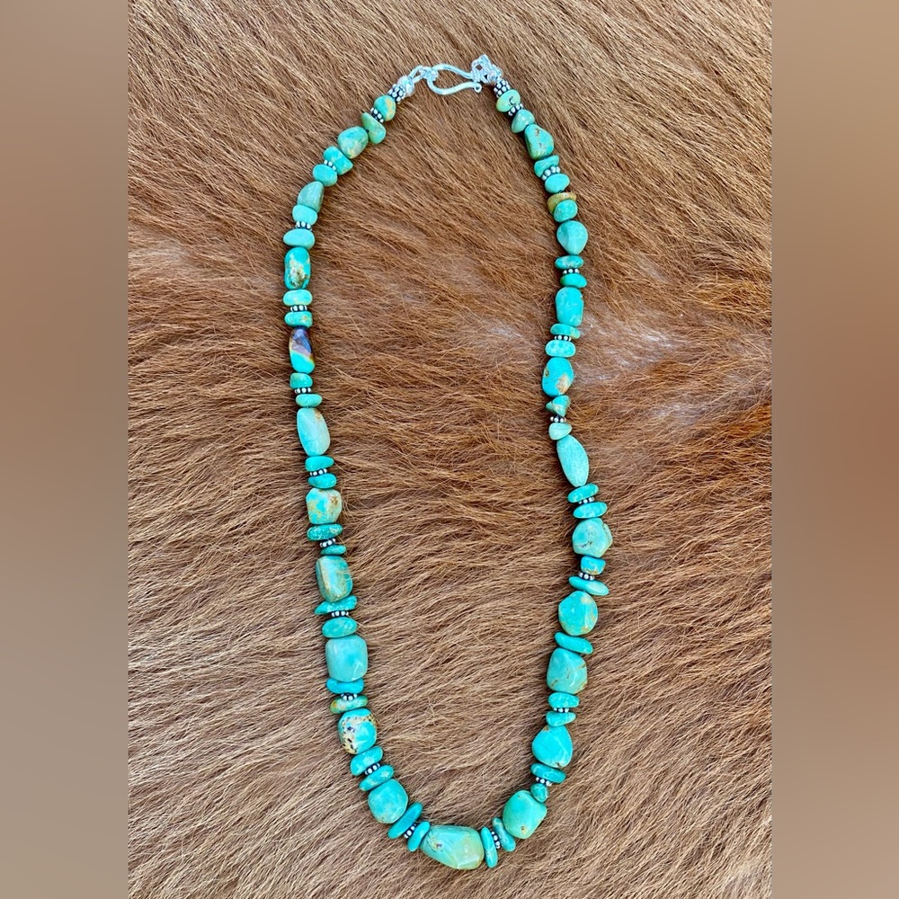 Campo Frio Turquoise Necklace